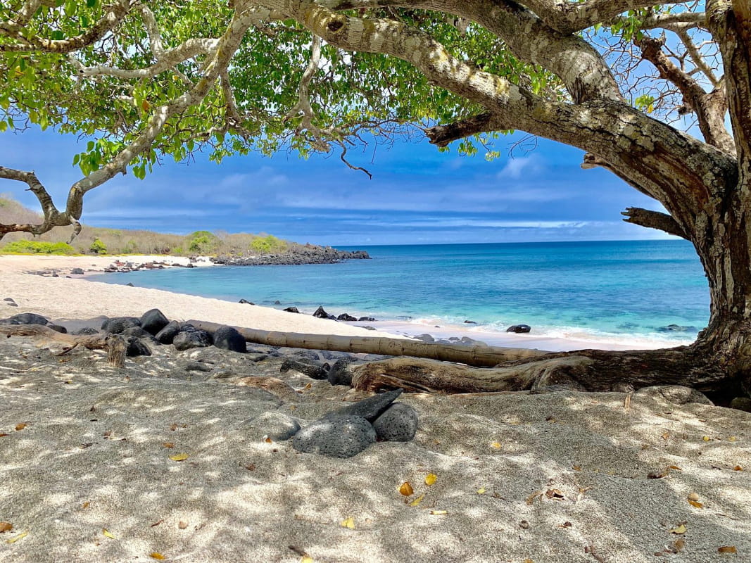 Playa baquerizo